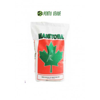 MANITOBA MISCUGLIO CANARINI T5 KG 20